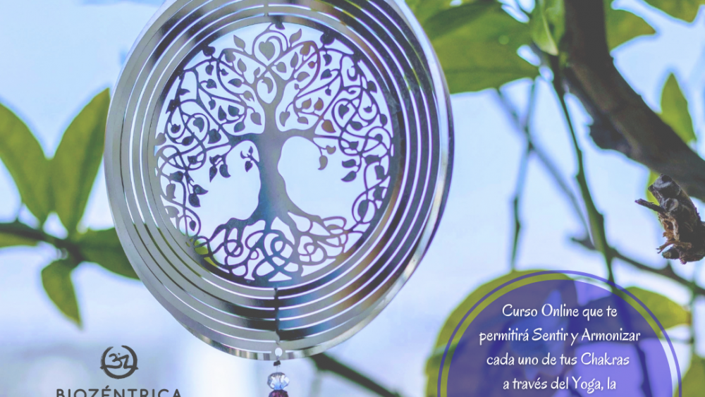 Curso Chakras